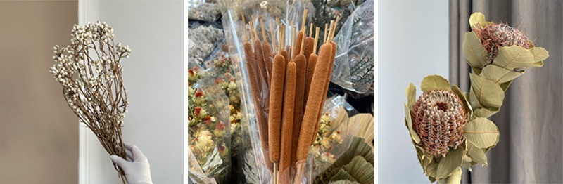 常见干花